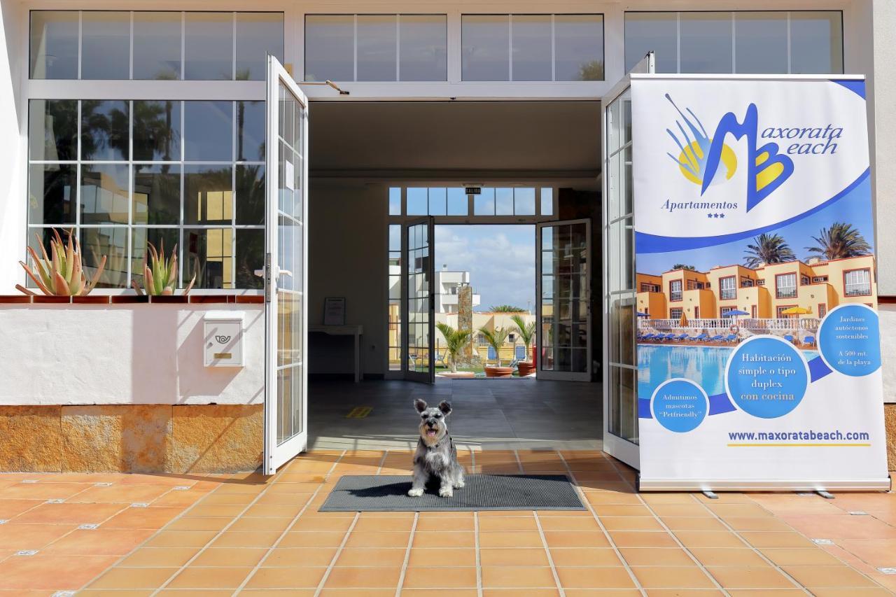 Apartamentos Maxorata Beach Κοραλέχο Εξωτερικό φωτογραφία